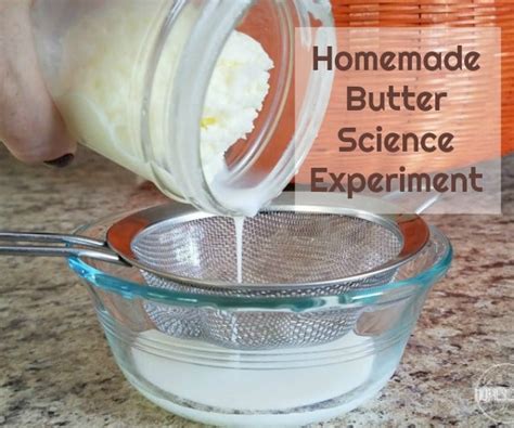 Getting Creative in the Kitchen: Fun Recipes You Can Make with a Magic Butter Press